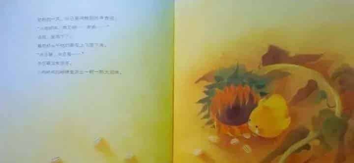 小鸡球球和向日葵 小鸡球球和向日葵