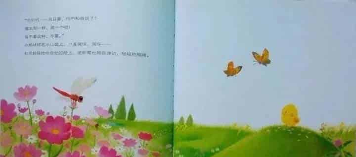 小鸡球球和向日葵 小鸡球球和向日葵