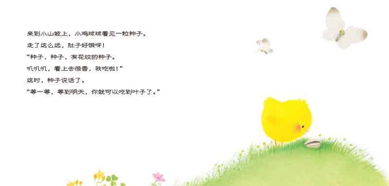 小鸡球球和向日葵 小鸡球球和向日葵