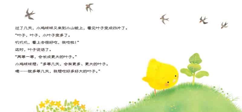 小鸡球球和向日葵 小鸡球球和向日葵