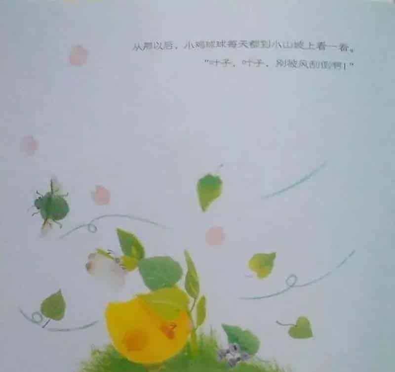 小鸡球球和向日葵 小鸡球球和向日葵