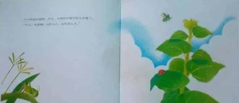 小鸡球球和向日葵 小鸡球球和向日葵