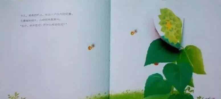 小鸡球球和向日葵 小鸡球球和向日葵