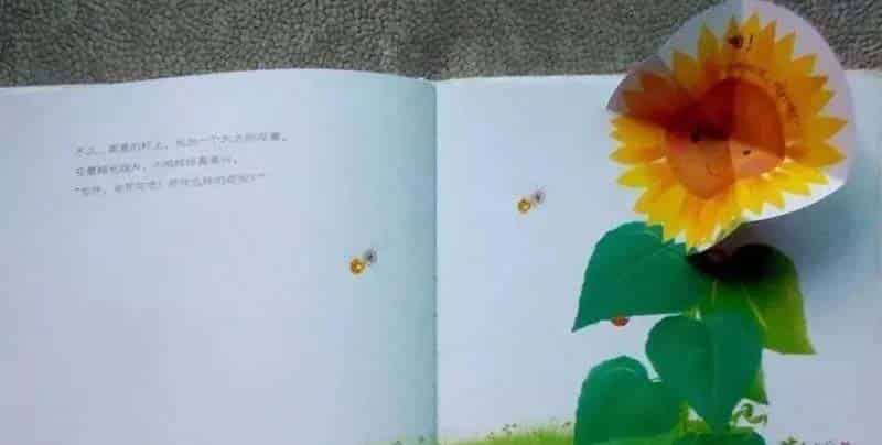 小鸡球球和向日葵 小鸡球球和向日葵