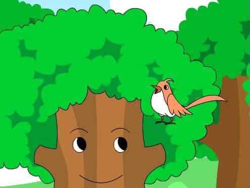 小鸟安家 小鸟安家