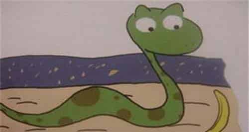 小蛇多多 小蛇多多