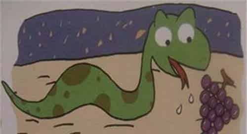 小蛇多多 小蛇多多