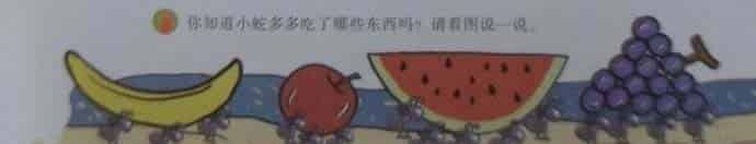 小蛇多多 小蛇多多