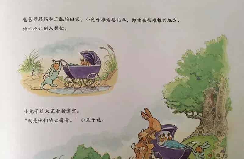 小兔子的新宝宝 小兔子的新宝宝
