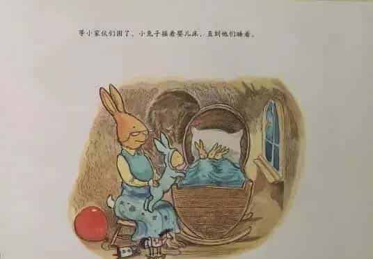 小兔子的新宝宝 小兔子的新宝宝