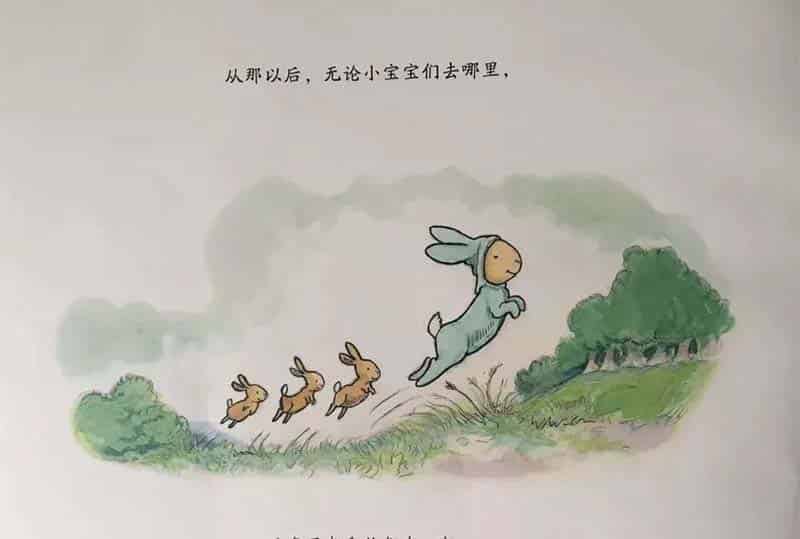小兔子的新宝宝 小兔子的新宝宝
