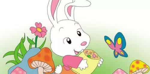 飞快长大的蘑菇 飞快长大的蘑菇