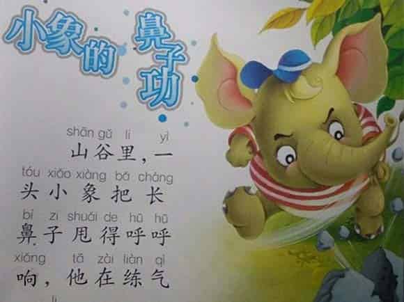 小象的鼻子功 小象的鼻子功