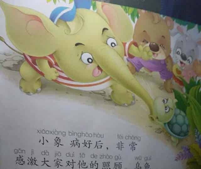 小象的鼻子功 小象的鼻子功