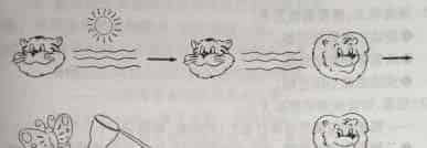 小小和阿呜的信