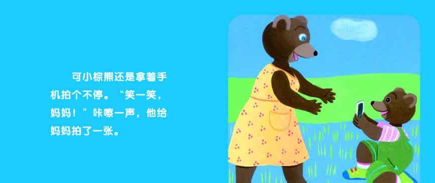 小棕熊爱拍照 小棕熊爱拍照