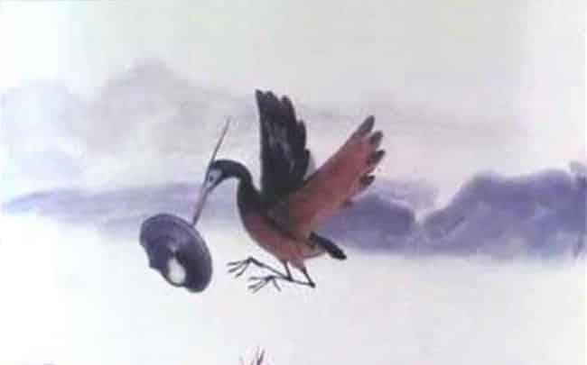 鹬蚌相争 渔人得利 鹬蚌相争 渔人得利