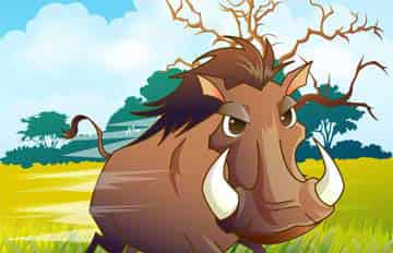 自私的野猪 自私的野猪