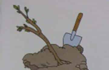 一半先生 一半先生