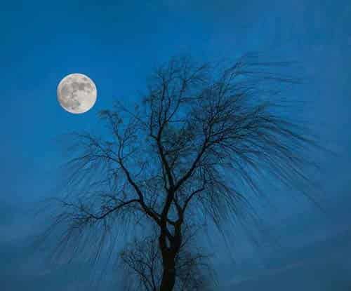 调皮的月亮 调皮的月亮