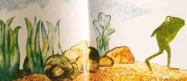 一只奇特的蛋 一只奇特的蛋