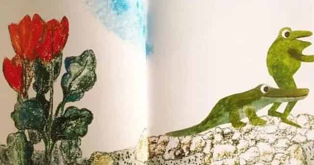 一只奇特的蛋 一只奇特的蛋