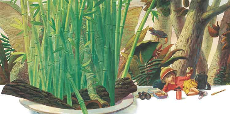 怎样找到一头大象 怎样找到一头大象