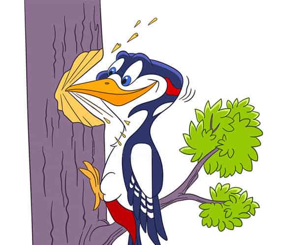 爱发议论的山鸡 爱发议论的山鸡