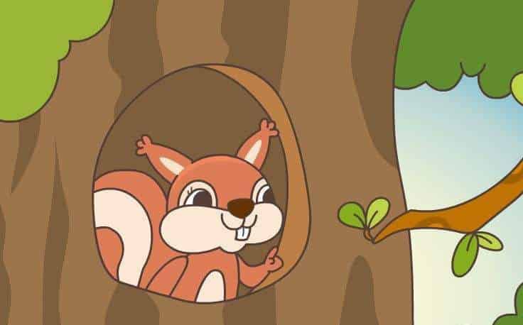 爱收藏的小松鼠