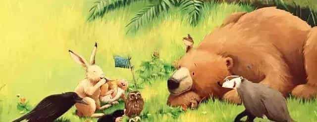 贝尔熊的新朋友