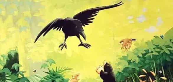 贝尔熊的新朋友