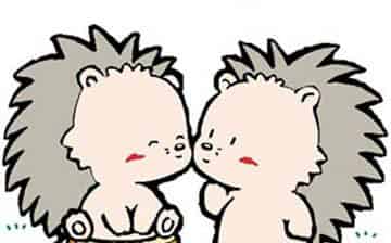 小刺猬兄弟回家