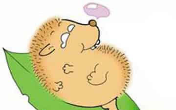 刺猬爸爸感冒啦