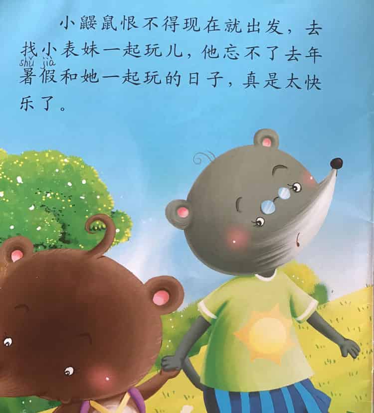 彩色的贝壳项链