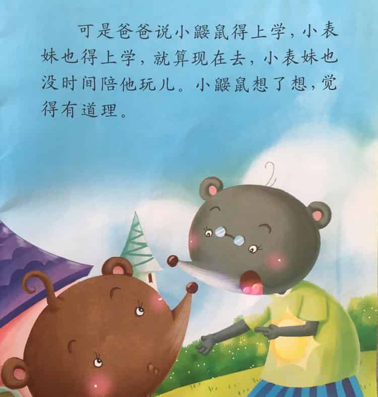 彩色的贝壳项链