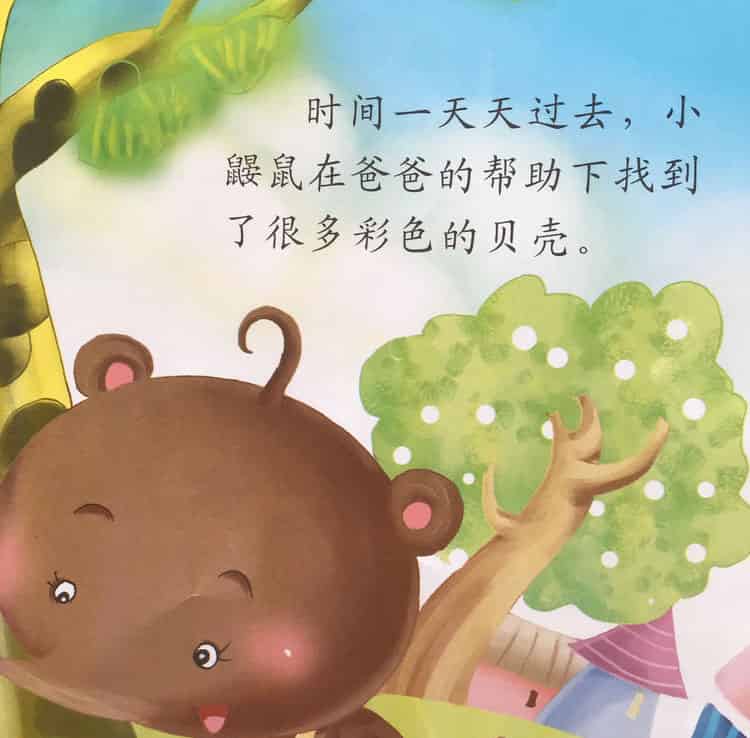 彩色的贝壳项链