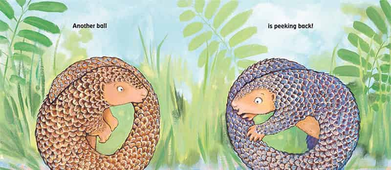 穿山甲球球