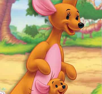 袋鼠妈妈有个袋袋