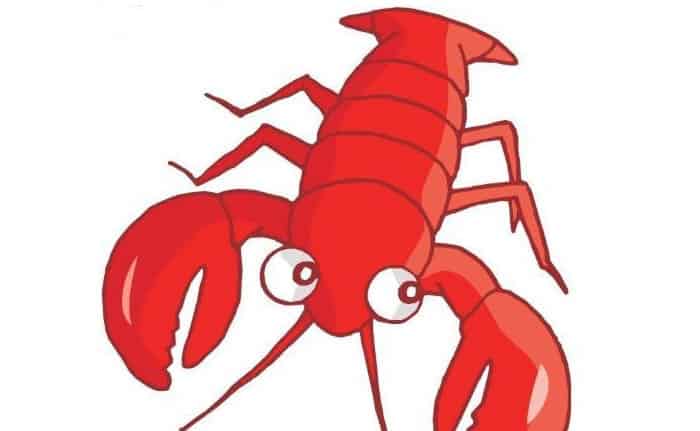 小章鱼激战大龙虾