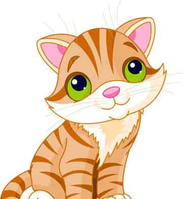 大胆鼠和胆小猫