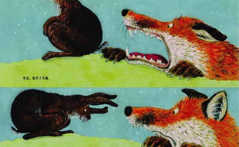 当狐狸和兔子互道晚安