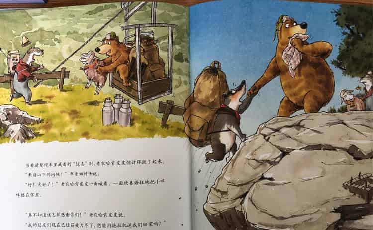 登山的大熊《布鲁姆的星期三》