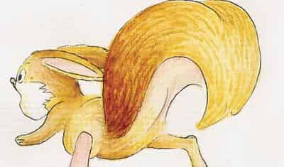 大尾巴松鼠小尾巴兔