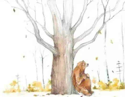 大熊有个故事要说