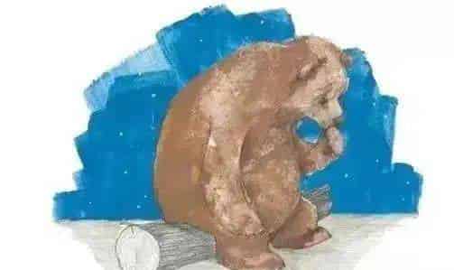 大熊有个故事要说