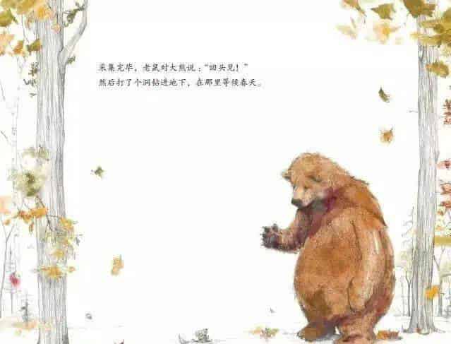 大熊有个故事要说