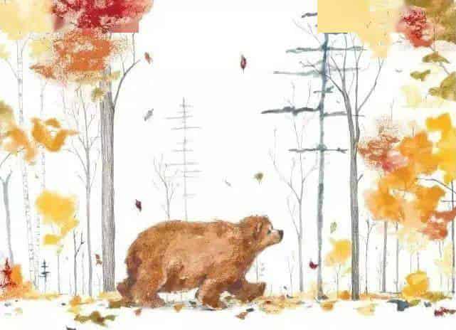 大熊有个故事要说