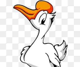 什么动物才是鸟