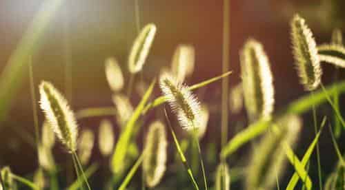 美滋滋和酸溜溜