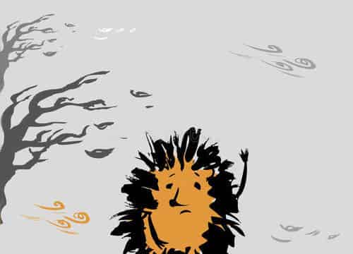 小狼的红色小车